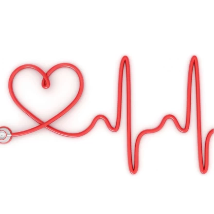 Electrocardiograma în stare de repaus(6 derivaţii)