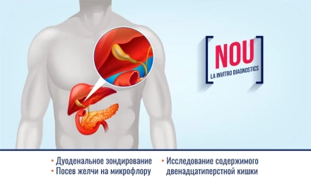 Роль дуоденального зондирования в диагностике заболеваний гепатобилиарной системы