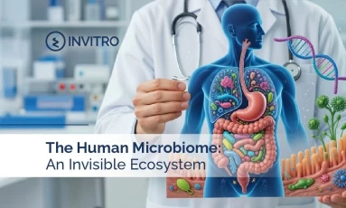 The Human Microbiome: An Invisible Ecosystem Shaping Biological Balance
