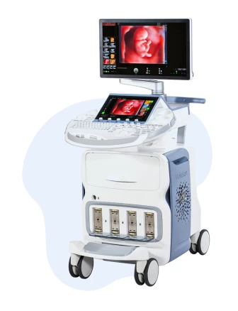 USG Voluson E10 | GE Healthcare