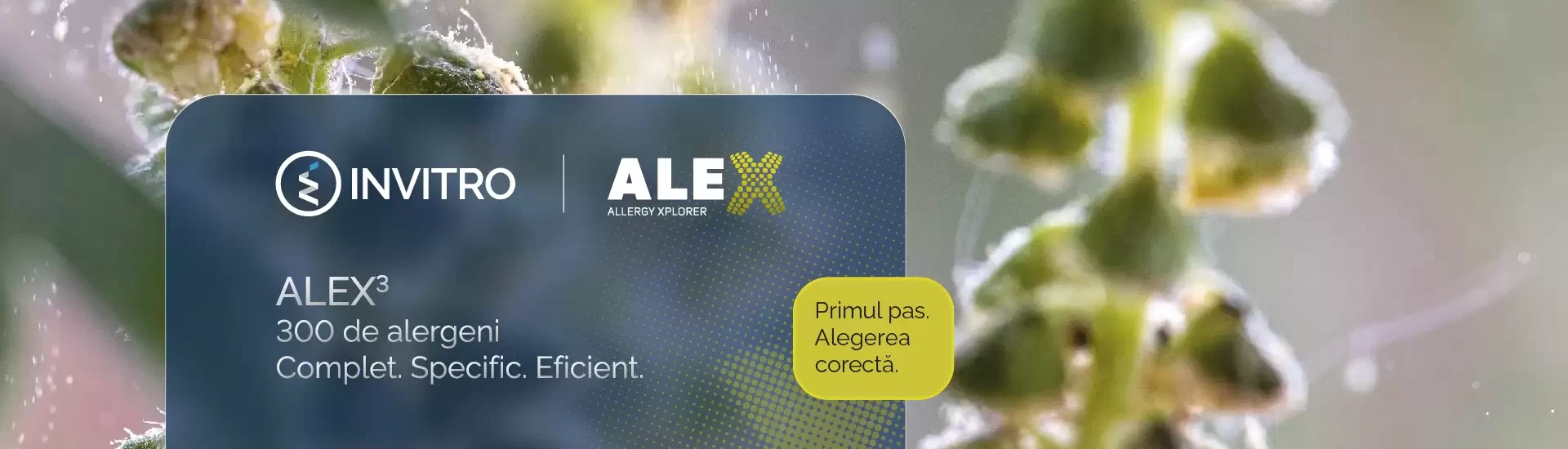 Cel mai complex test pentru alergii – ALEX3